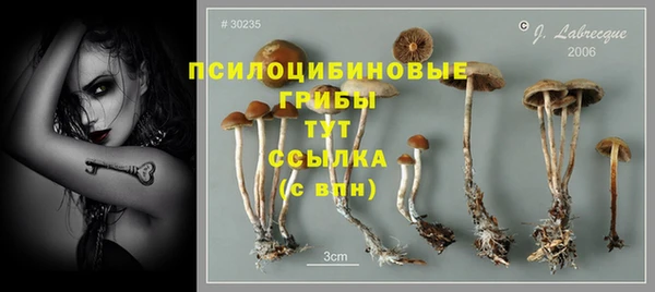 первитин Краснотурьинск