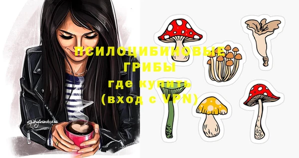 ПСИЛОЦИБИНОВЫЕ ГРИБЫ Костерёво